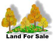 land for sale