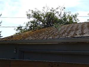 damage- roof moss-garage