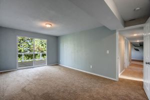 LfkQAnxEemJn8XSV88S7eoUkwJjMWb7wI72P2za37n4