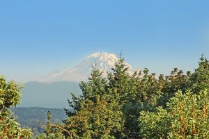 osRZLv2iuwqr2Z_gwbM3IcK-OjsSLMJKnLBGoTNnQVA