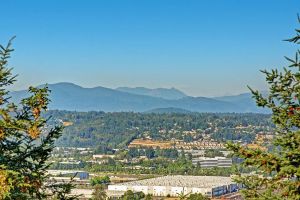 VZUfIAD-O4xVBx-bUVEnLH2-OiyLhrol_hlhpKNmUSw